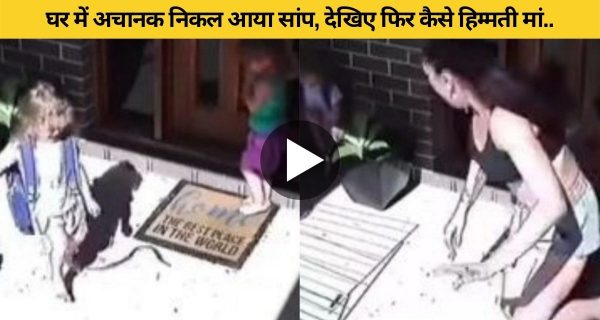 2 बच्चों के सामने अचानक आ जाता है जहरीला सांप, मां ने हिम्मत दिखाई और..