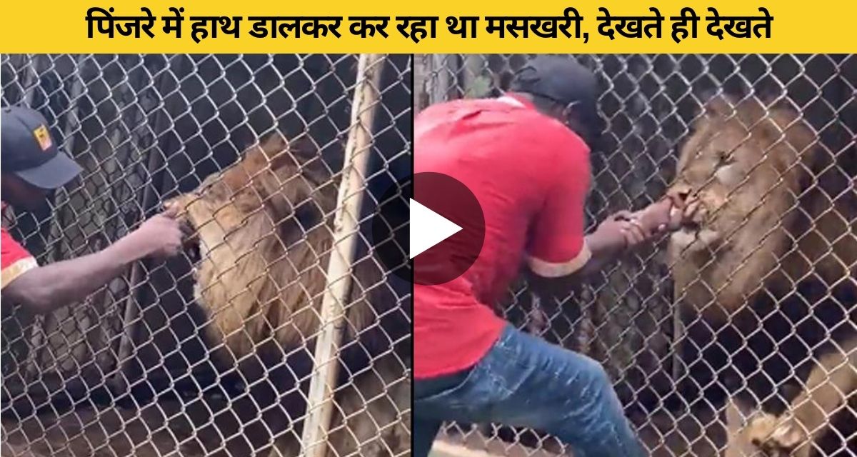 A man having fun with a caged lion