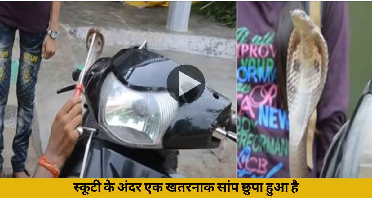 You will also be surprised to know that a dangerous snake is hidden inside this scooty.