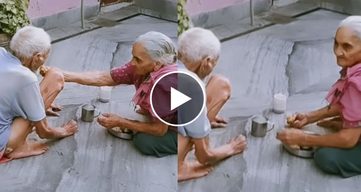 A unique love story of grandparents, lovingly feeding her husband