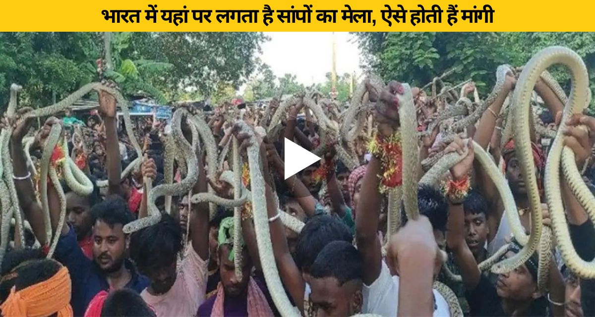 India's unique fair where serpent gods fulfill vows