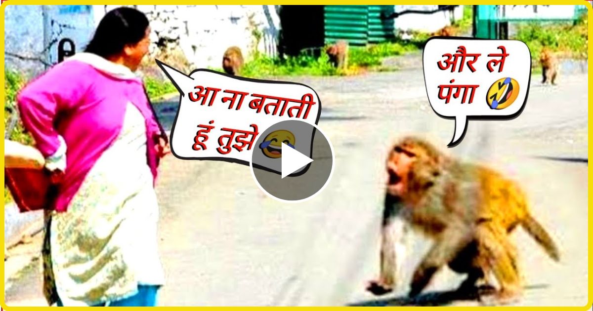 Monkey had to run away after snatching smartphone from woman