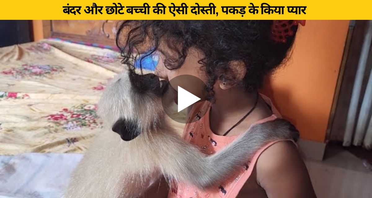 There is such love between the langur and the girl, which everyone is surprised to see.