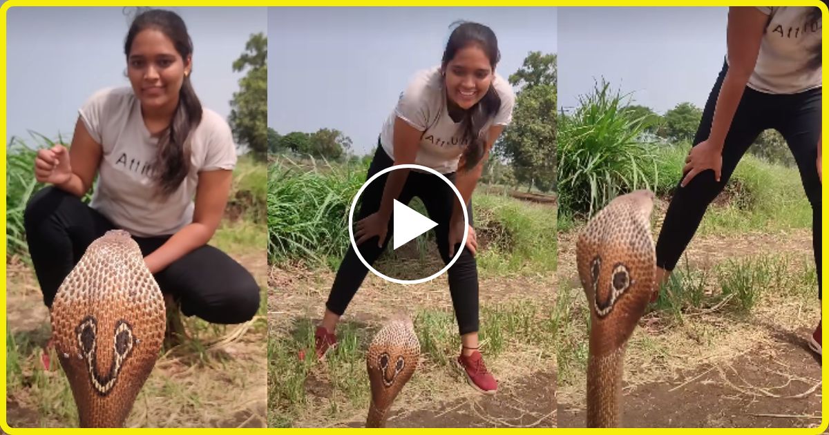 Girl danced with dangerous cobra snake