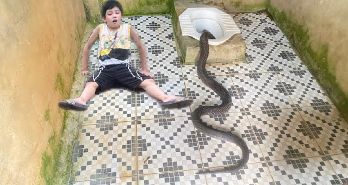 The snake came out of the toilet when the boy was doing toilet